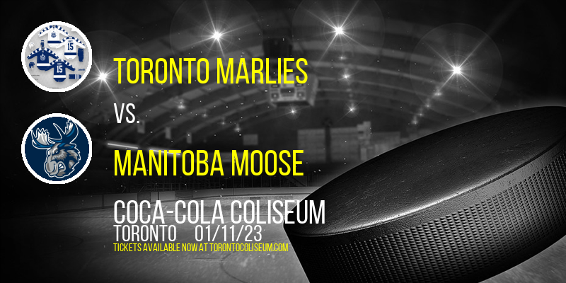 Toronto Marlies vs. Manitoba Moose at Coca-Cola Coliseum