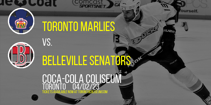 Toronto Marlies vs. Belleville Senators at Coca-Cola Coliseum