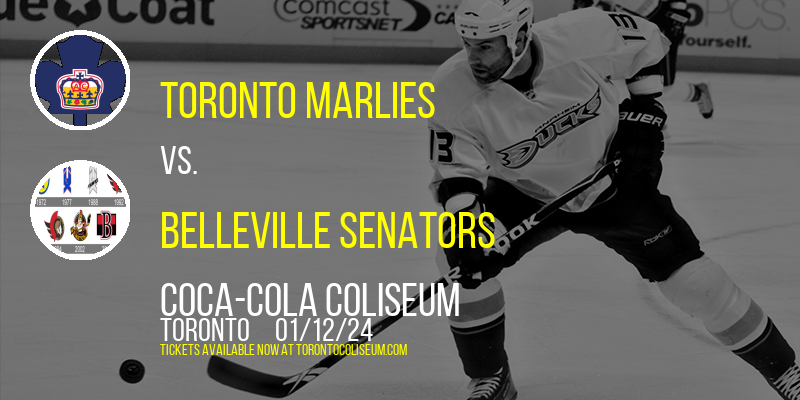 Toronto Marlies vs. Belleville Senators at Coca-Cola Coliseum