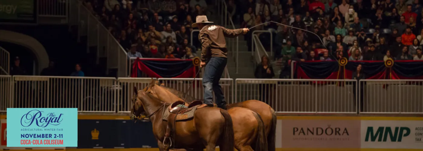 Coca Cola Coliseum Royal Winter Horse Show